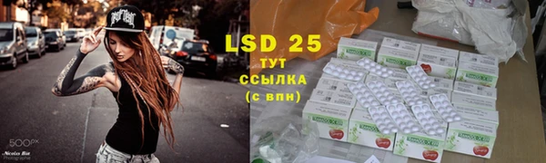 ГАЛЛЮЦИНОГЕННЫЕ ГРИБЫ Алзамай