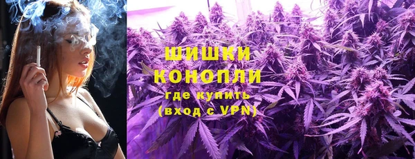 ГАЛЛЮЦИНОГЕННЫЕ ГРИБЫ Алзамай