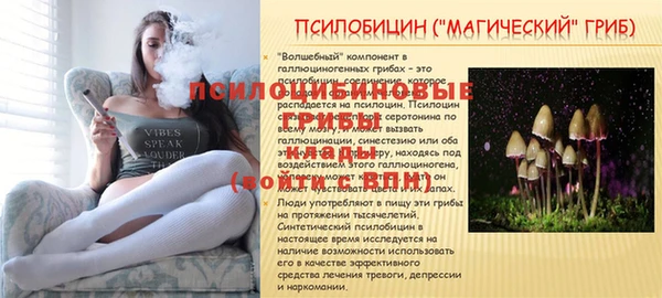 ГАЛЛЮЦИНОГЕННЫЕ ГРИБЫ Алзамай