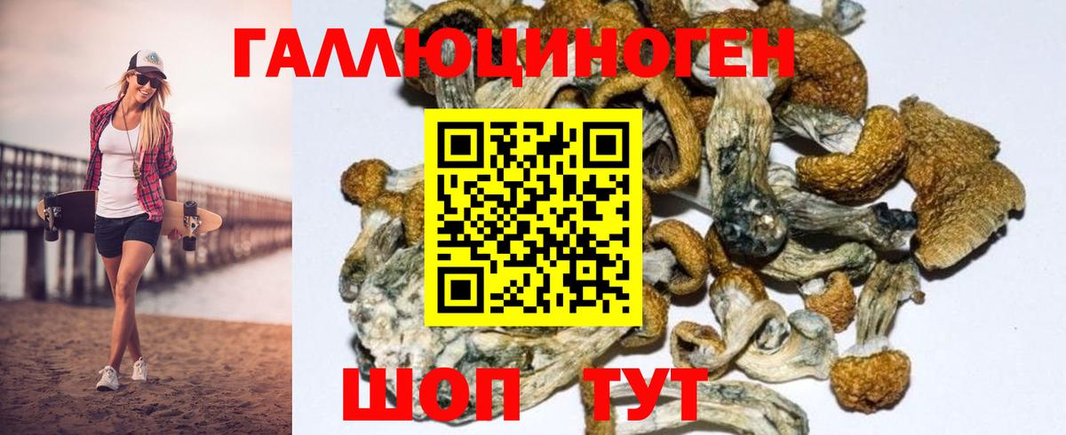 Асбест  Галлюциногенные грибы Psilocybe  Вход с VPN 